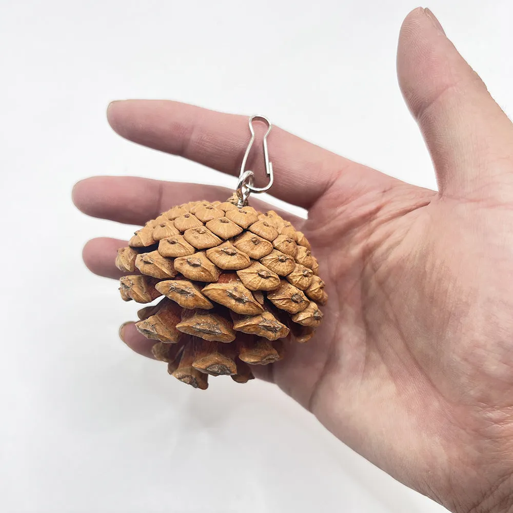 Natural pine cone parrot bite toy with metal stud and buckle, 5-6cm size, for hanging in bird cage