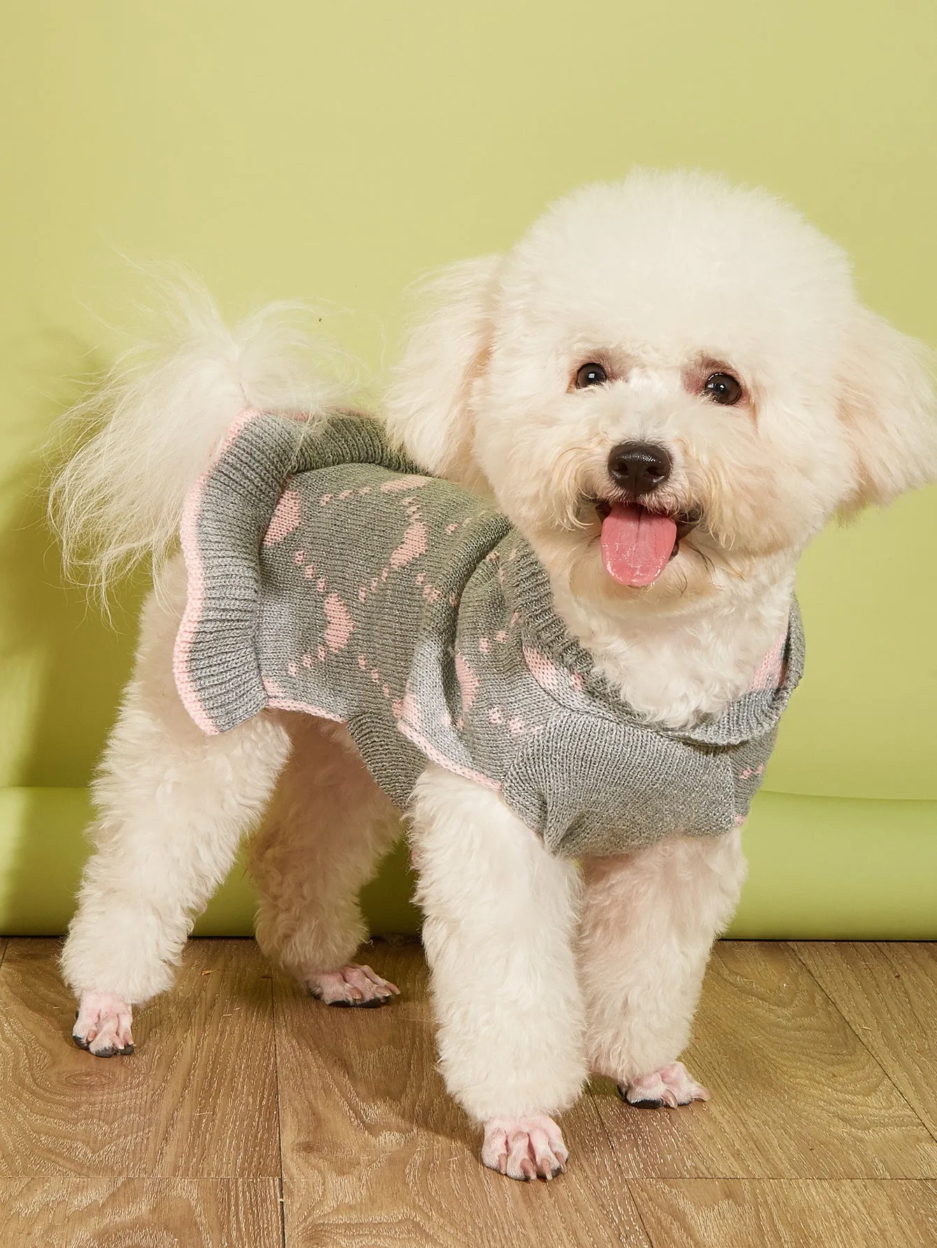 Small dog wearing blue knit sweater hoodie dress with heart motif on front
