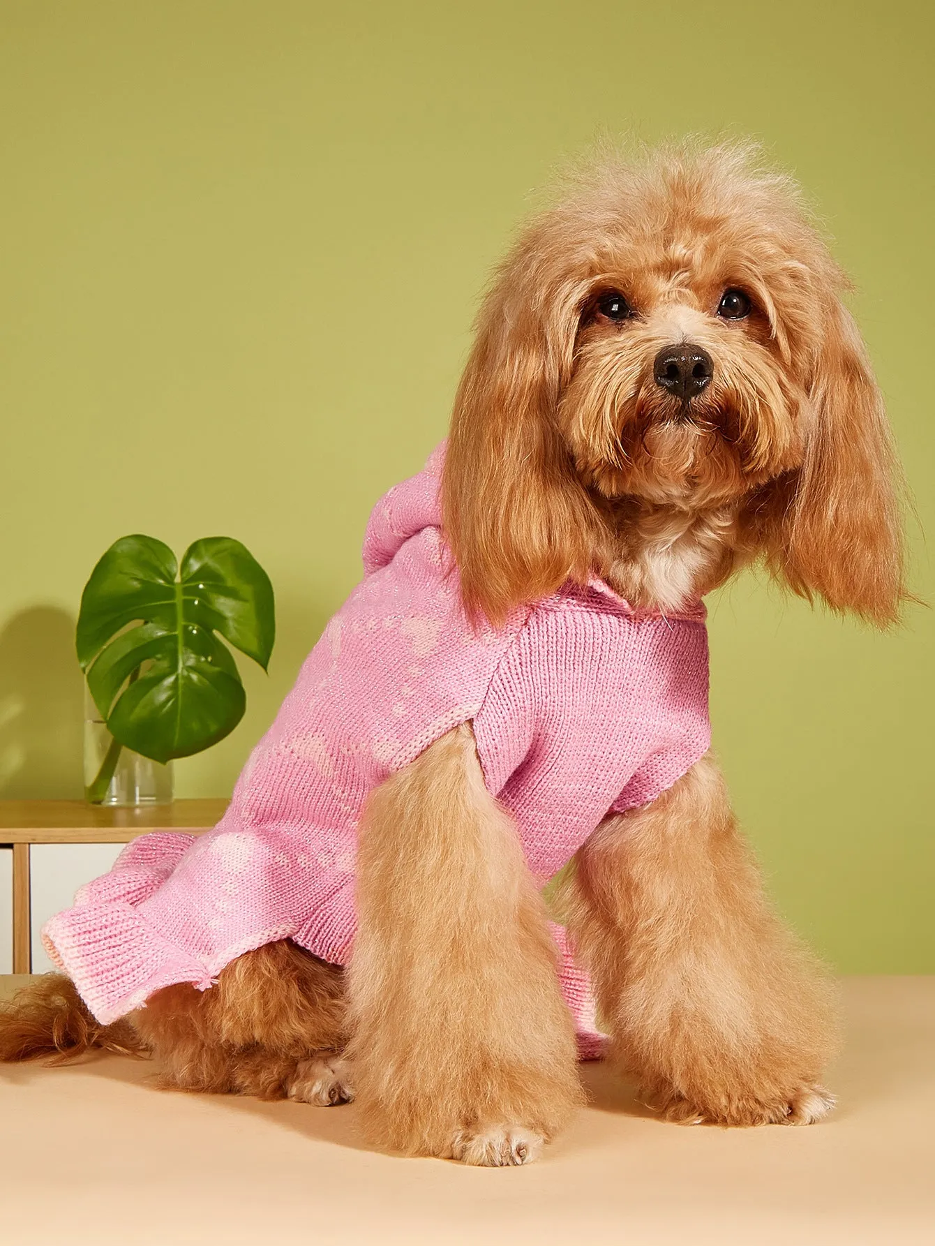 Small dog wearing blue knit sweater hoodie dress with heart motif on front