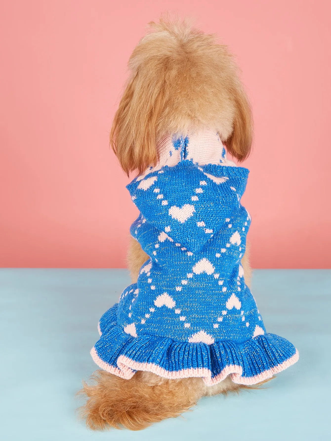 Small dog wearing blue knit sweater hoodie dress with heart motif on front
