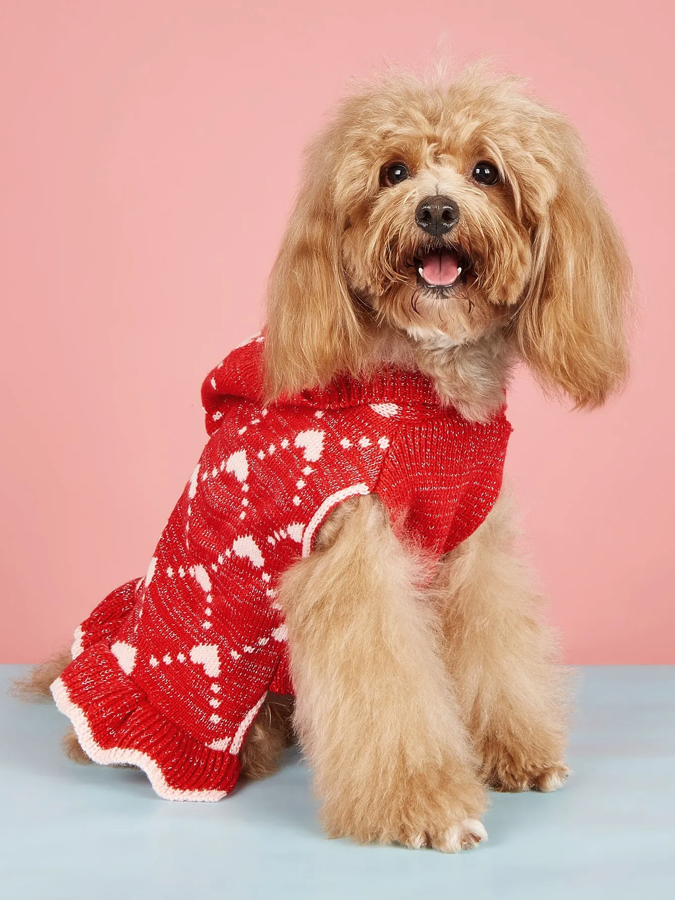 Small dog wearing blue knit sweater hoodie dress with heart motif on front