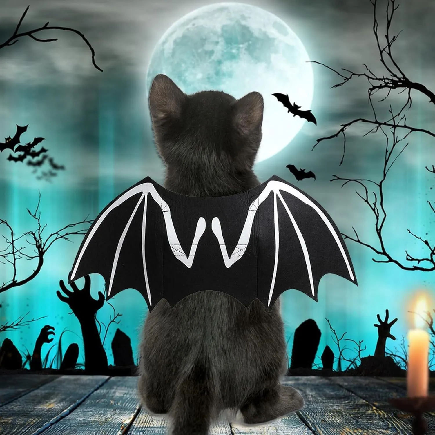Small dog wearing a black bat costume with luminous skeleton bone wings against a Halloween background