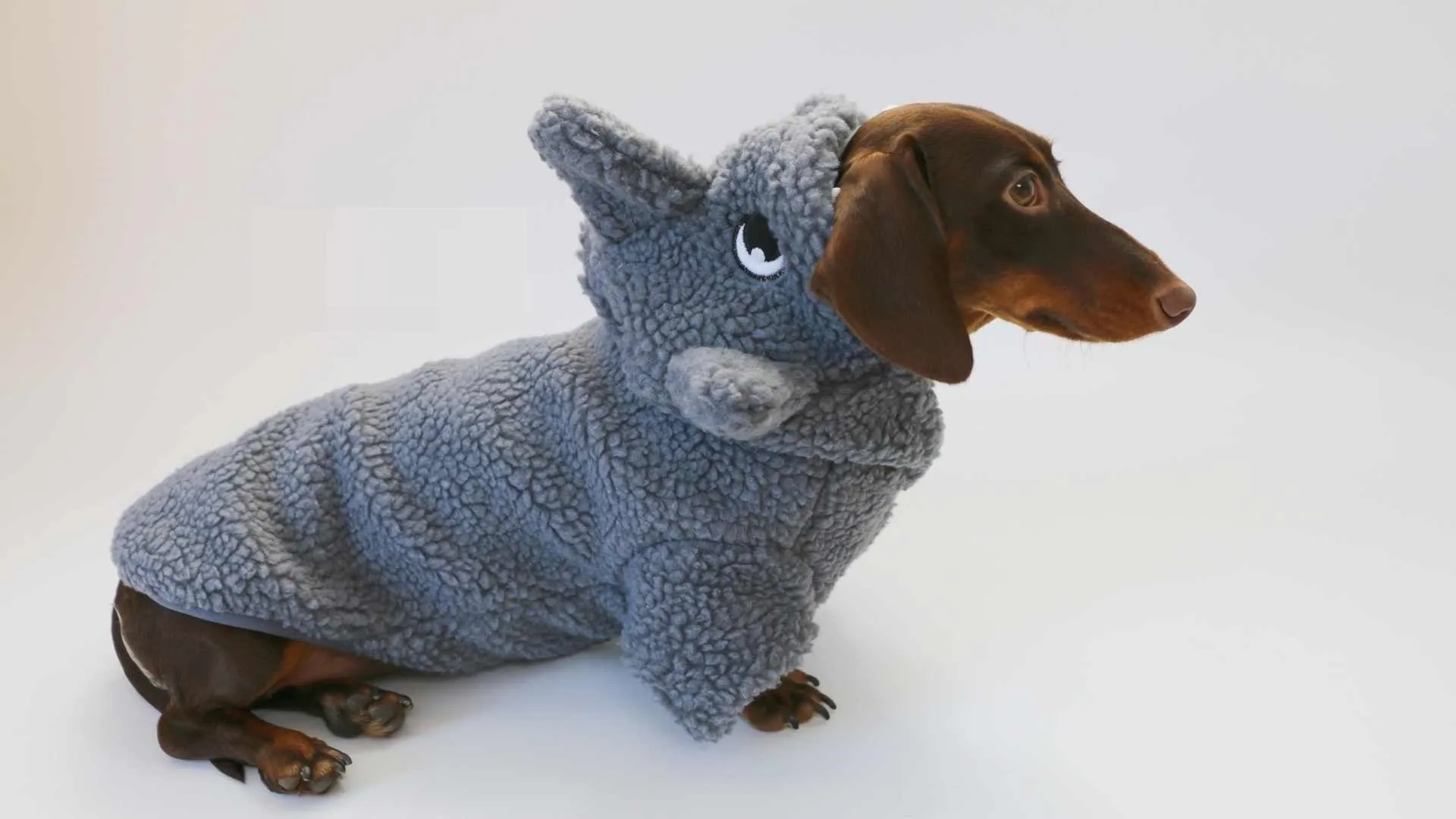 Winter fleece-lined grey hooded shark sweater for small dog or cat