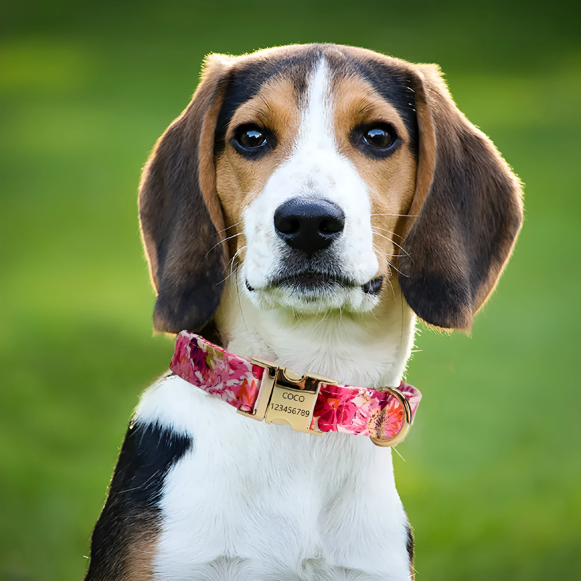 Cotton metal floral dog collar and matching hand-holding rope leash for medium to large dogs