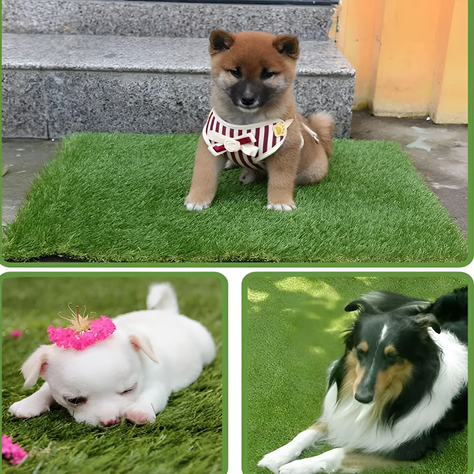 Green washable dog turf training pad with plastic grass on rubber base