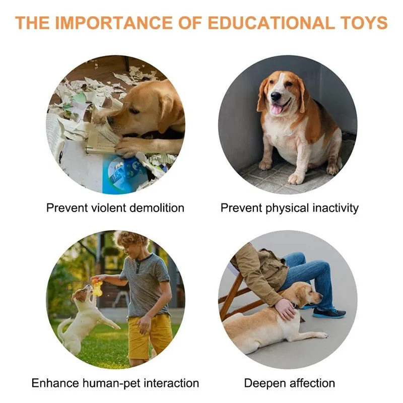 Pet communication button in orange, blue, grey and yellow with mats, 8.5cm ABS plastic recordable dog talking toy