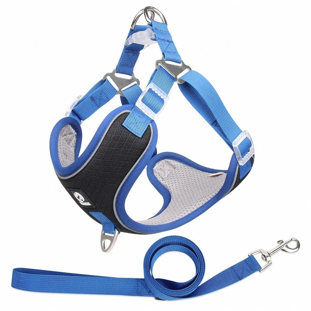 Adjustable mesh dog harness with reflective piping in black colour on small dog