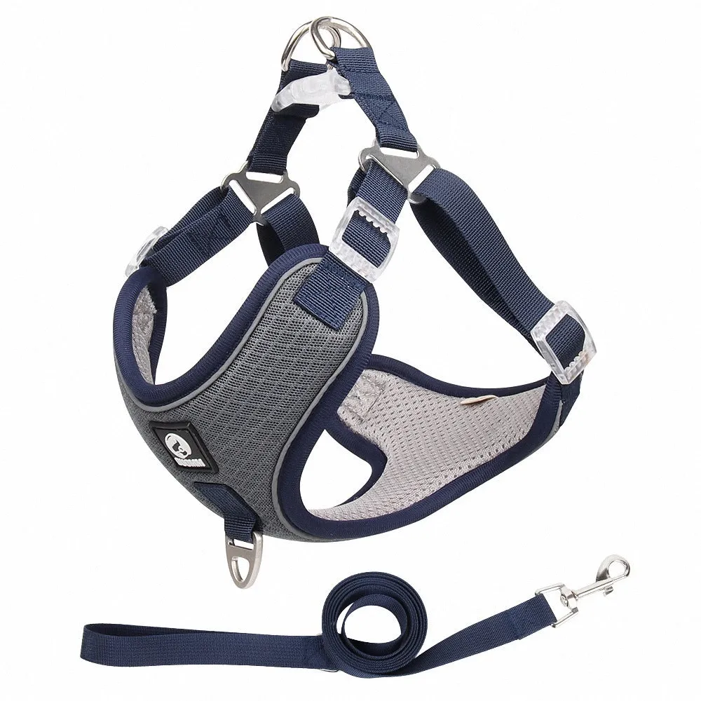 Adjustable mesh dog harness with reflective piping in black colour on small dog