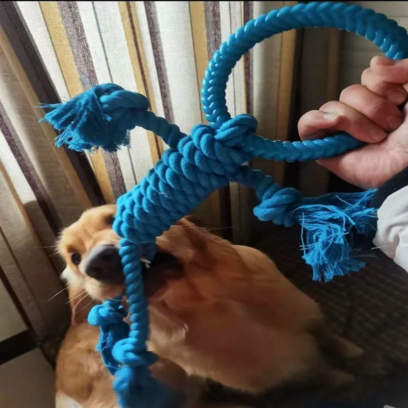 Cotton rope dog chew toy with 14cm ring diameter and 50cm length in blue