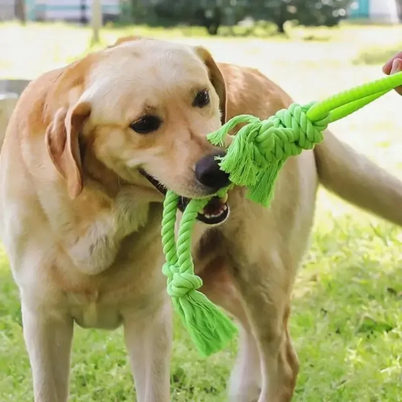 Cotton rope dog chew toy with 14cm ring diameter and 50cm length in blue