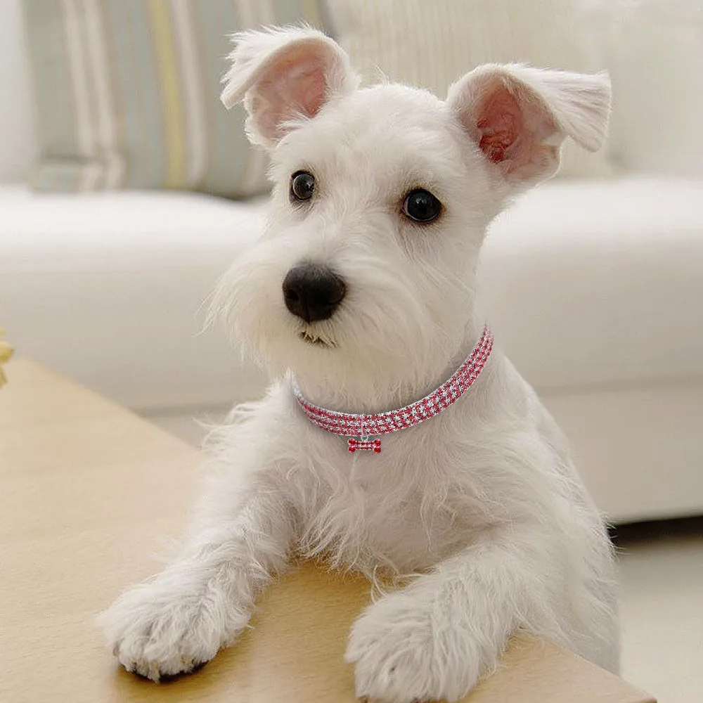 Bling rhinestone dog collar with crystal pendant on a small dog, blue colour, adjustable size S