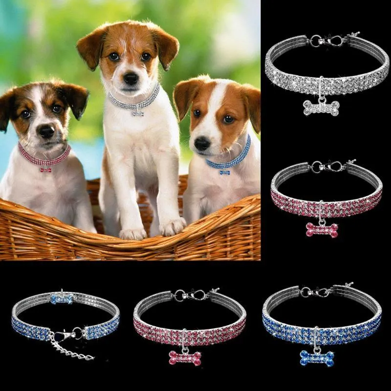 Bling rhinestone dog collar with crystal pendant on a small dog, blue colour, adjustable size S