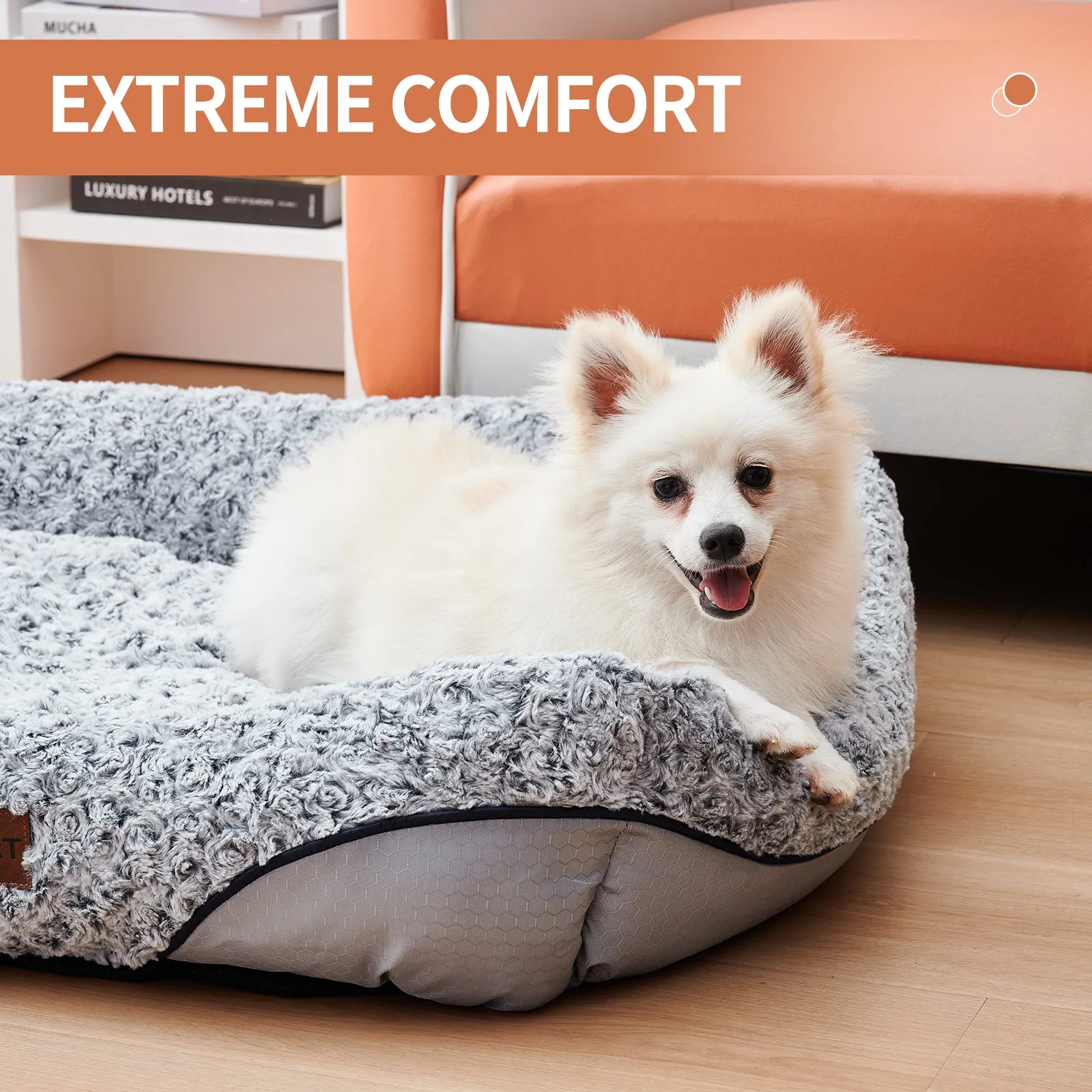Swirl rose velvet dog bed with removable cushion for small medium dogs, sofa-style design