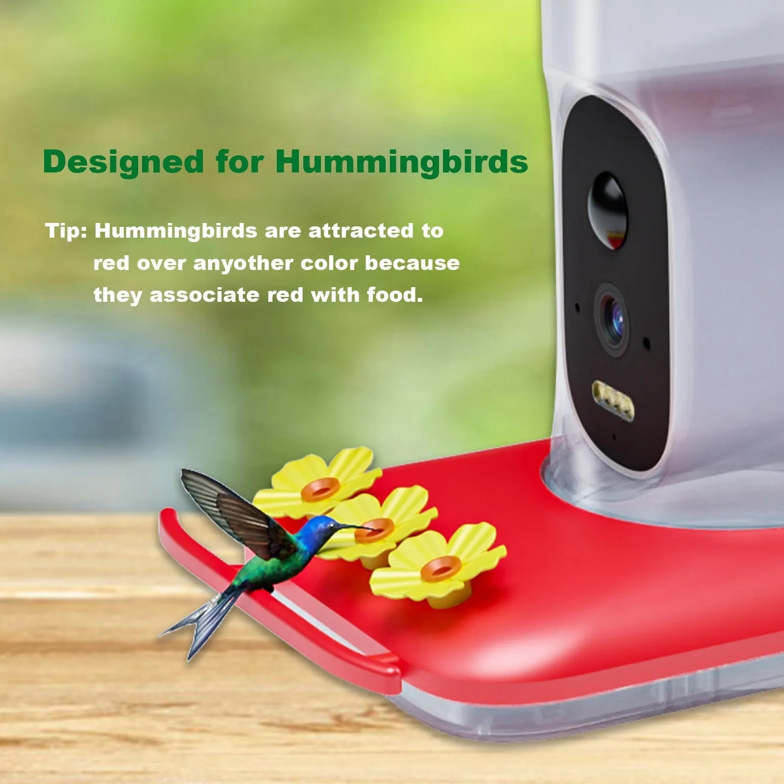 Red intelligent hummingbird water feeder with 5MP HD camera and solar panel mounted outdoors for garden wildlife monitoring