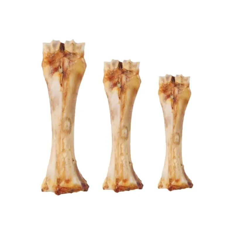 High-calcium dog molar chew toy in roasted ox bone flavour, shown in large, medium, and small sizes.