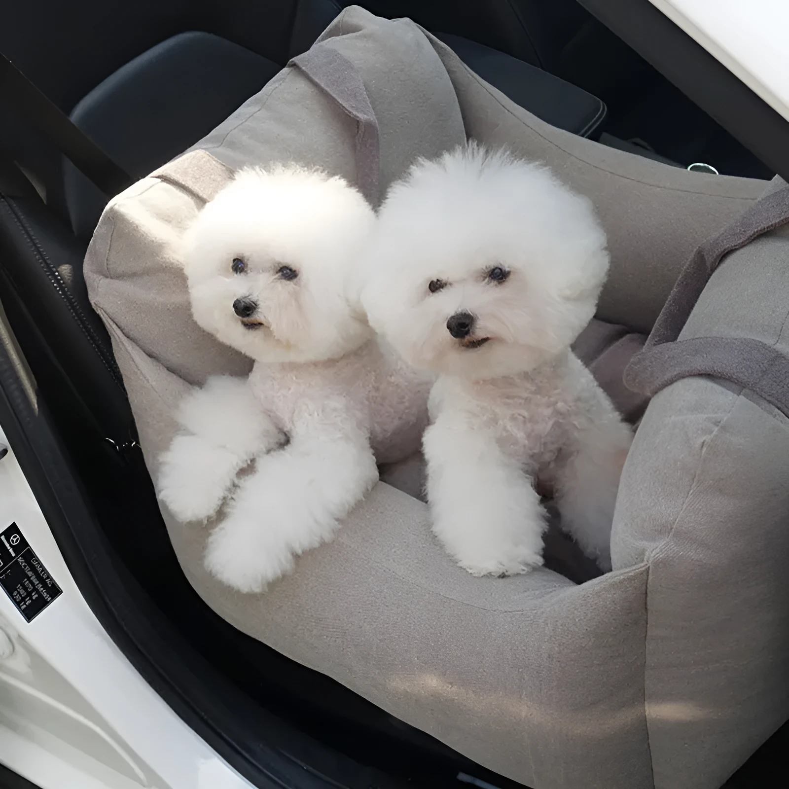 Pet dog car carrier seat basket in grey cloth with mesh panels for breathable travel