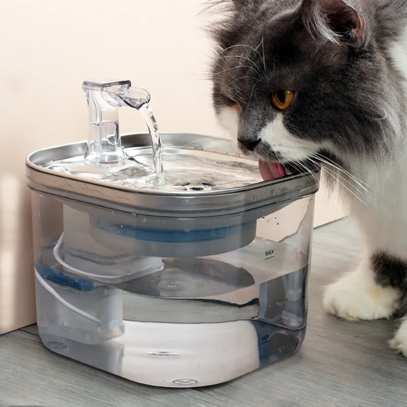 304 stainless steel automatic pet water fountain with 2L capacity and transparent base for multiple pets