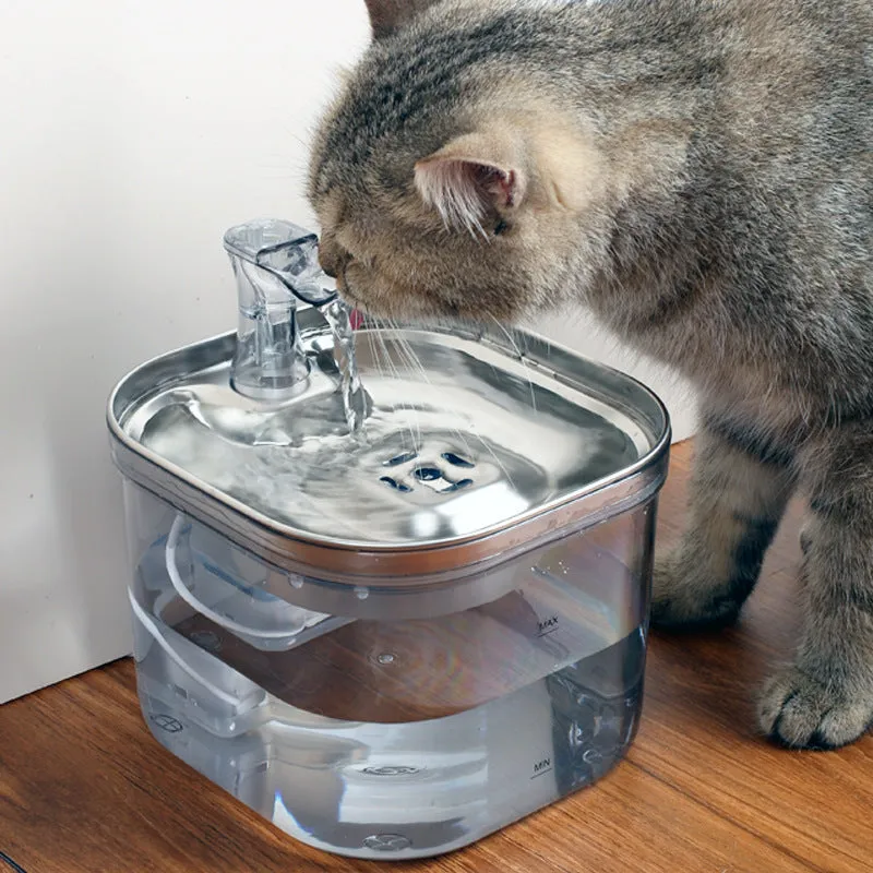 304 stainless steel automatic pet water fountain with 2L capacity and transparent base for multiple pets