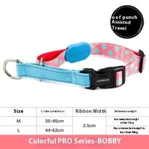 Nylon half p explosion-proof pet traction neckband in Sunrise colour on a dog