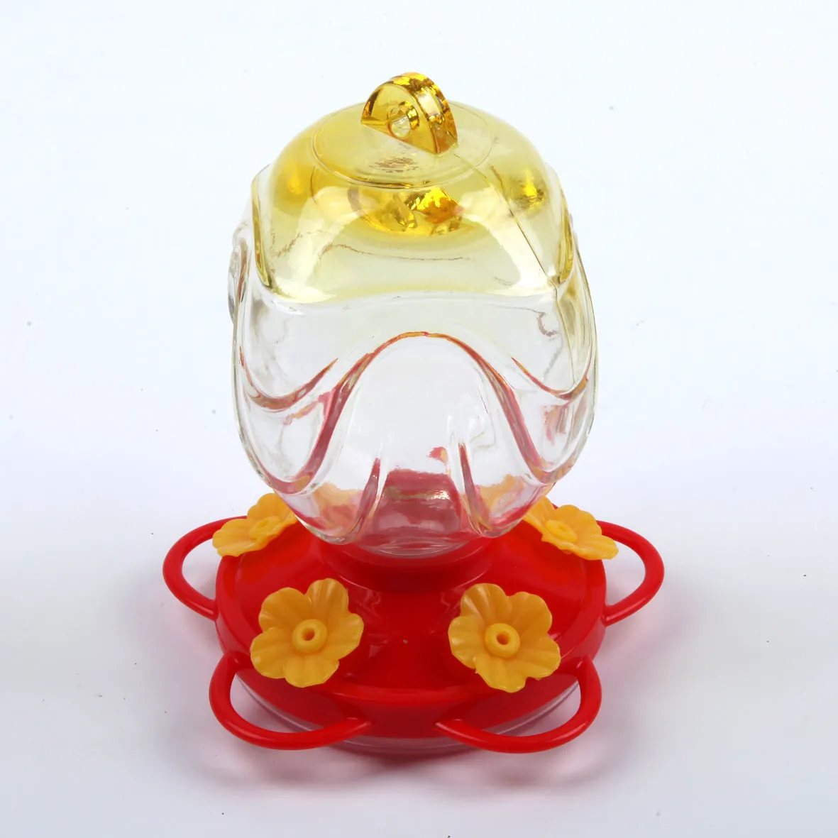 Painted glass feeder for aquarium decoration in transparent colour