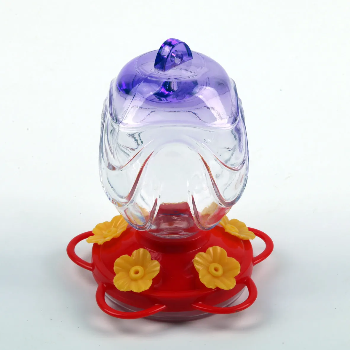 Painted glass feeder for aquarium decoration in transparent colour