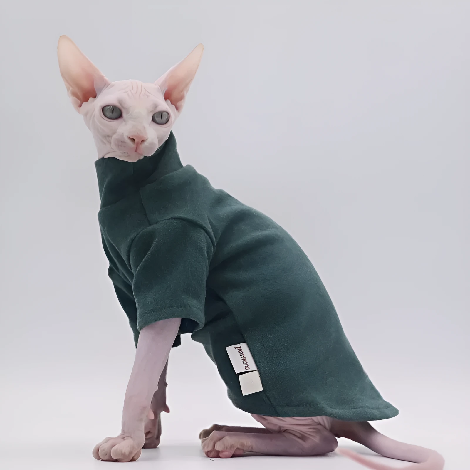 Hairless cat wearing a polar fleece hoodie in autumn winter colours black gray green purple with hood up