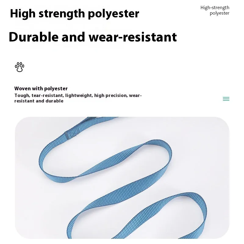 Solid colour nylon dog lead shown in various colours with hand-holding rope design
