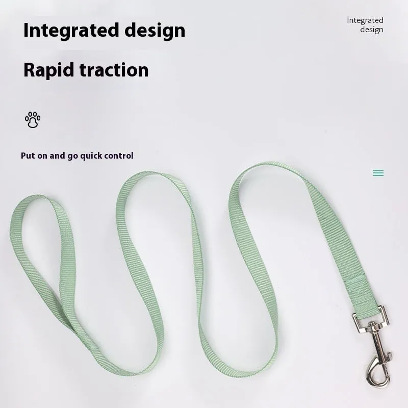 Solid colour nylon dog lead shown in various colours with hand-holding rope design