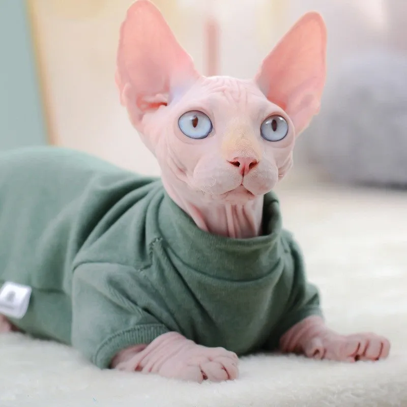 Hairless cat wearing toothpick Dralon jumper in cherry pink, two-foot design for front legs, soft autumn winter pet clothing