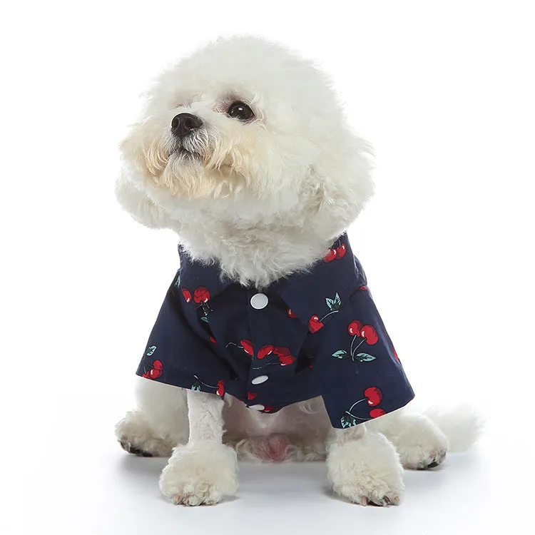 Fruit-themed casual polyester dog clothes in six colours on a small dog, size S to XL available