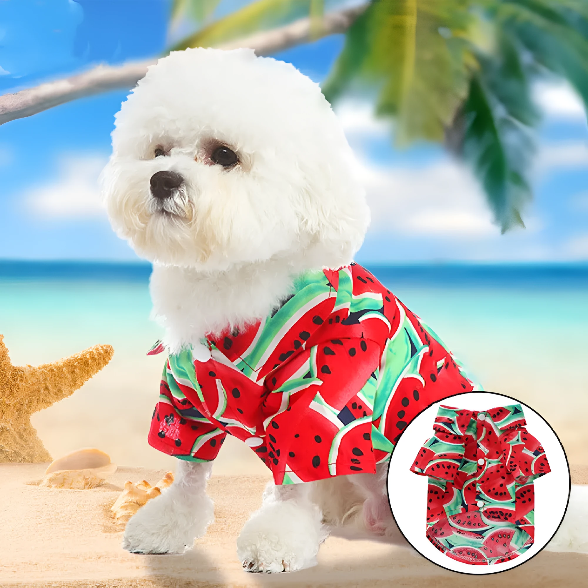 Fruit-themed casual polyester dog clothes in six colours on a small dog, size S to XL available