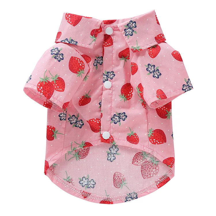 Fruit-themed casual polyester dog clothes in six colours on a small dog, size S to XL available