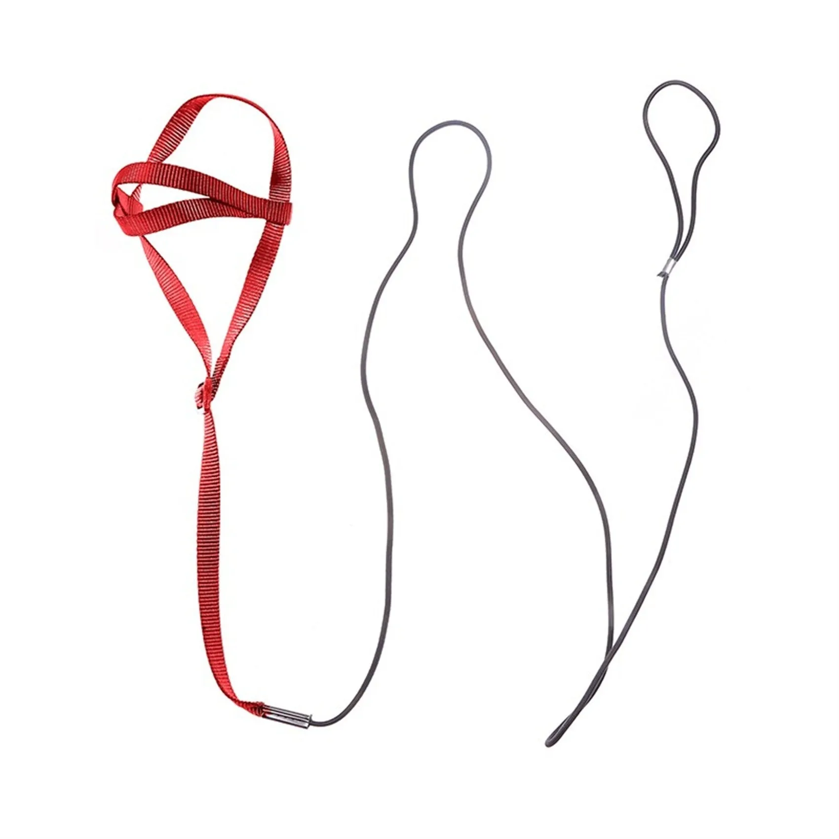 Nylon parrot hand holding rope in black, green, sapphire blue, and red on a training lead