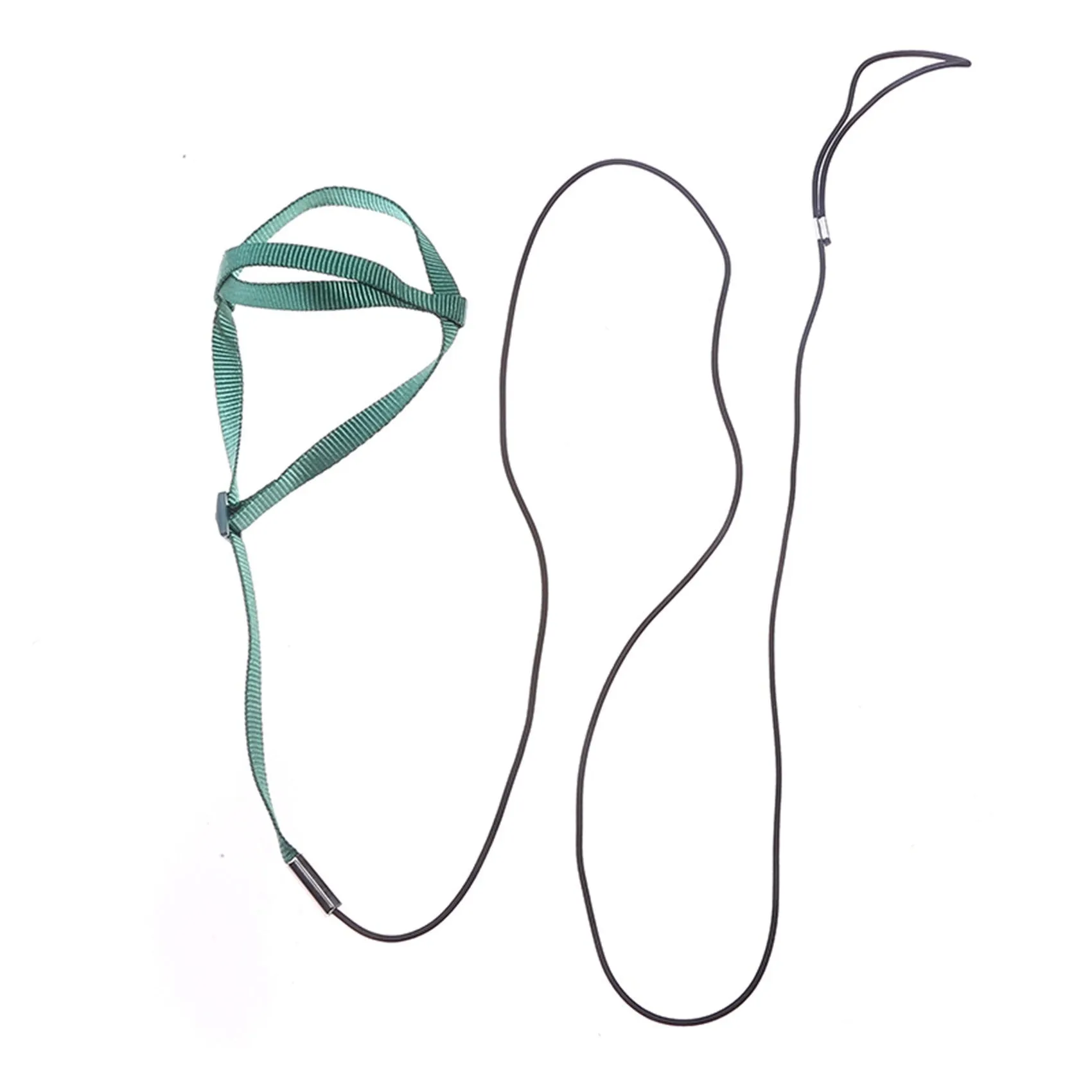 Nylon parrot hand holding rope in black, green, sapphire blue, and red on a training lead