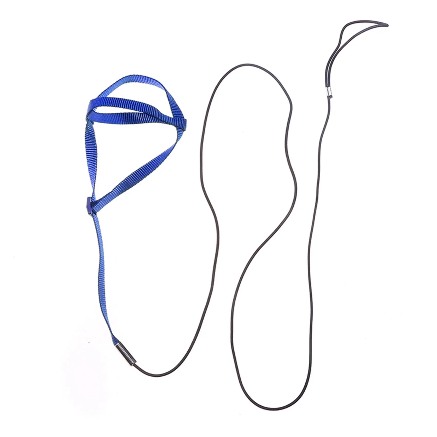 Nylon parrot hand holding rope in black, green, sapphire blue, and red on a training lead