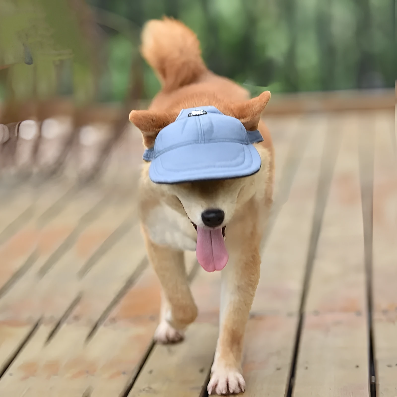 Multi-colour sun-proof polyester cotton and denim baseball cap for dogs and cats in pink, blue, and cowboy black