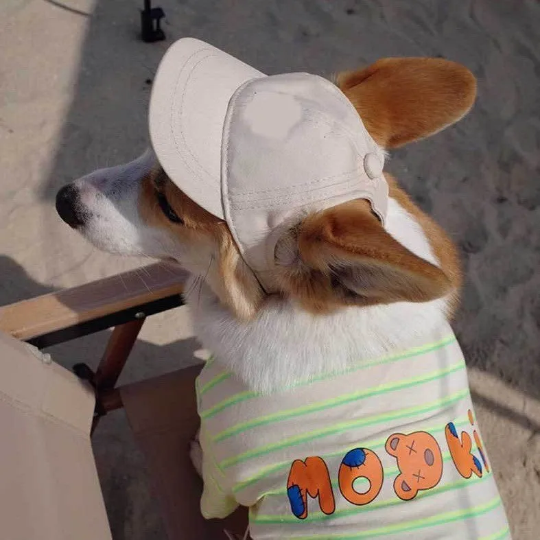 Adjustable sun-proof cotton pet baseball cap with exposed ears in apricot on dog