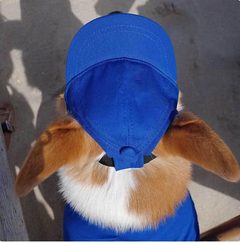 Adjustable sun-proof cotton pet baseball cap with exposed ears in apricot on dog