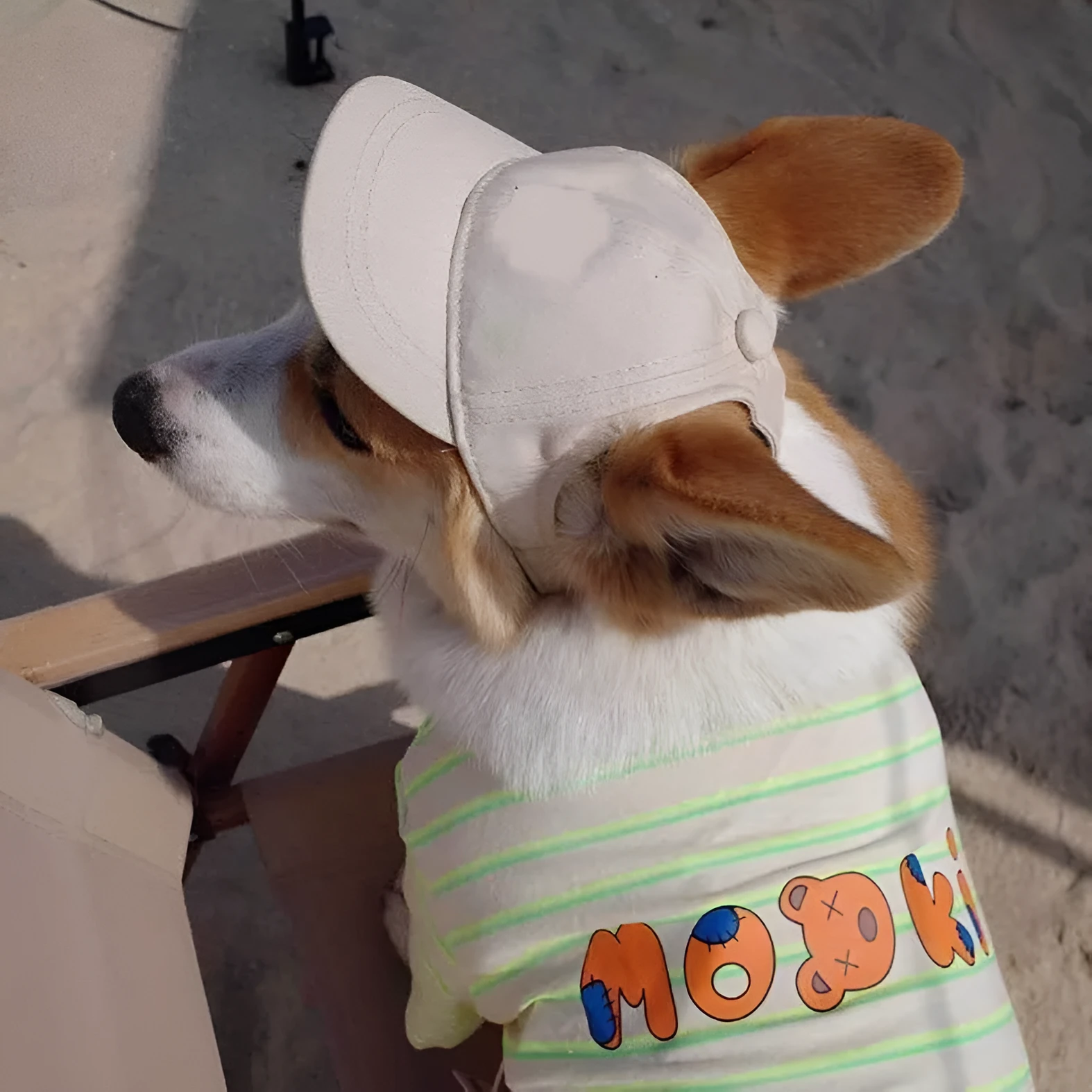 Adjustable sun-proof cotton pet baseball cap with exposed ears in apricot on dog