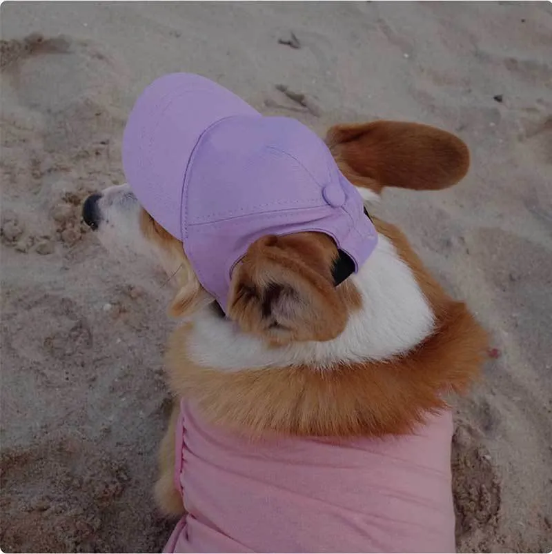 Adjustable sun-proof cotton pet baseball cap with exposed ears in apricot on dog
