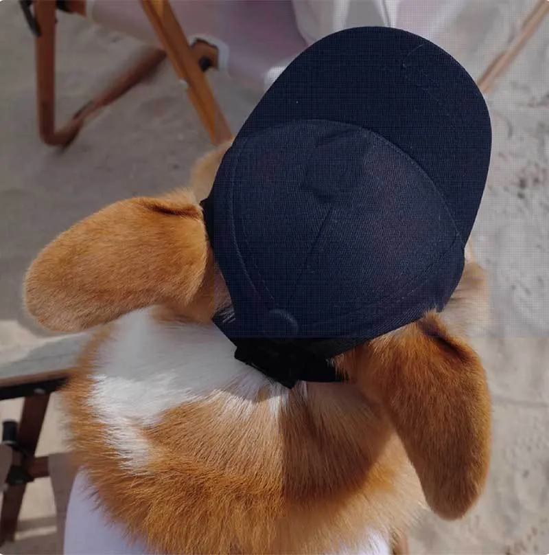 Adjustable sun-proof cotton pet baseball cap with exposed ears in apricot on dog