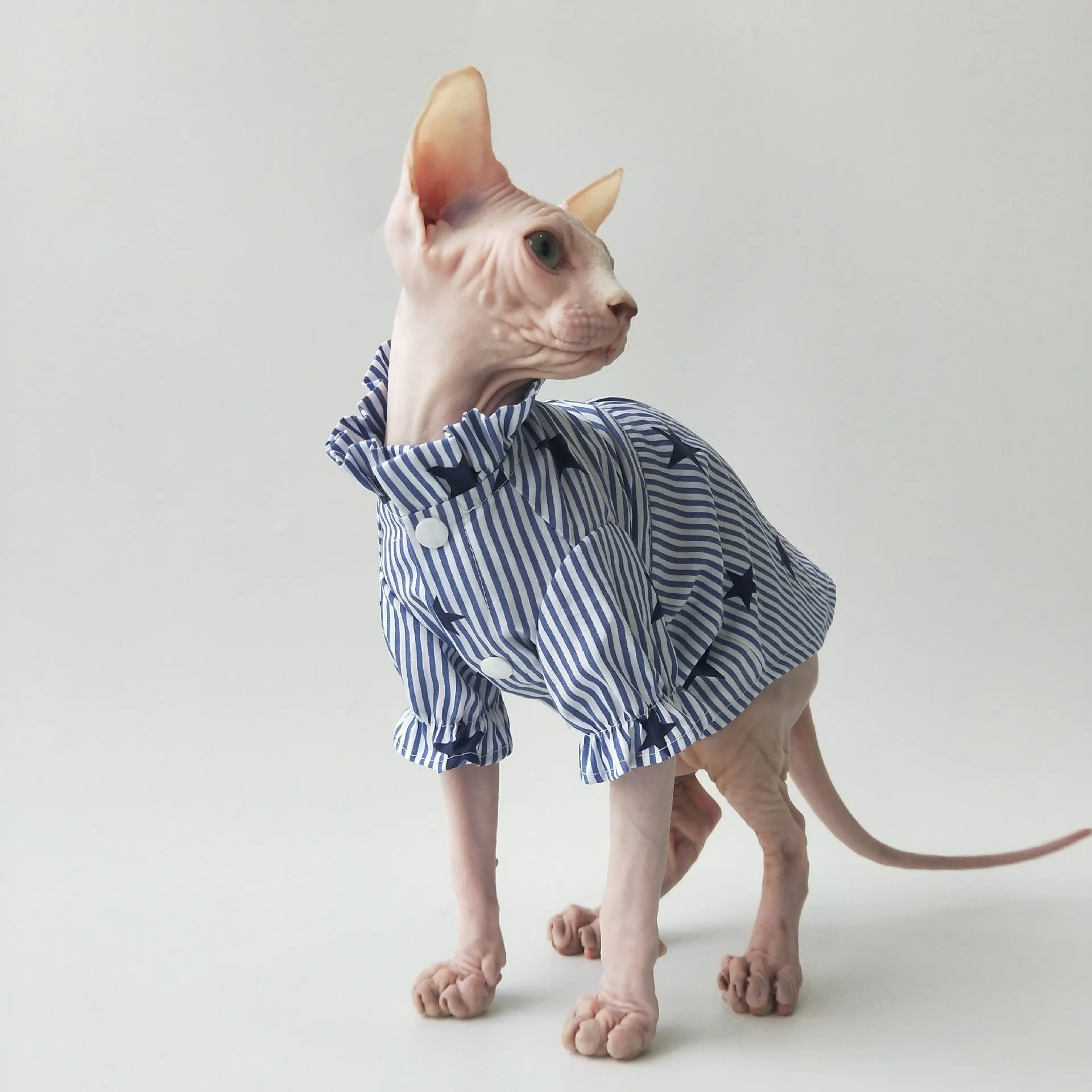 Casual thin cotton shirt for Sphinx hairless cats in breathable design