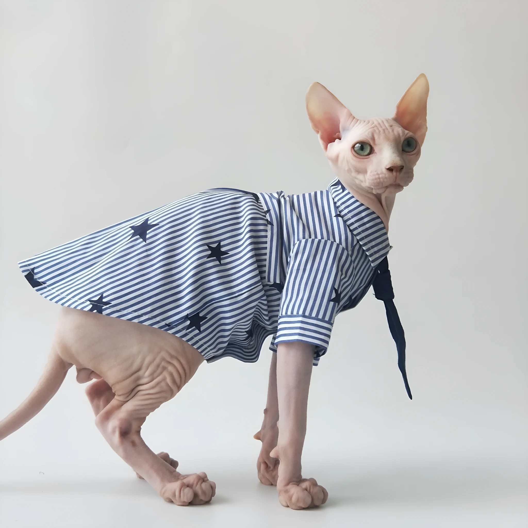 Casual thin cotton shirt for Sphinx hairless cats in breathable design
