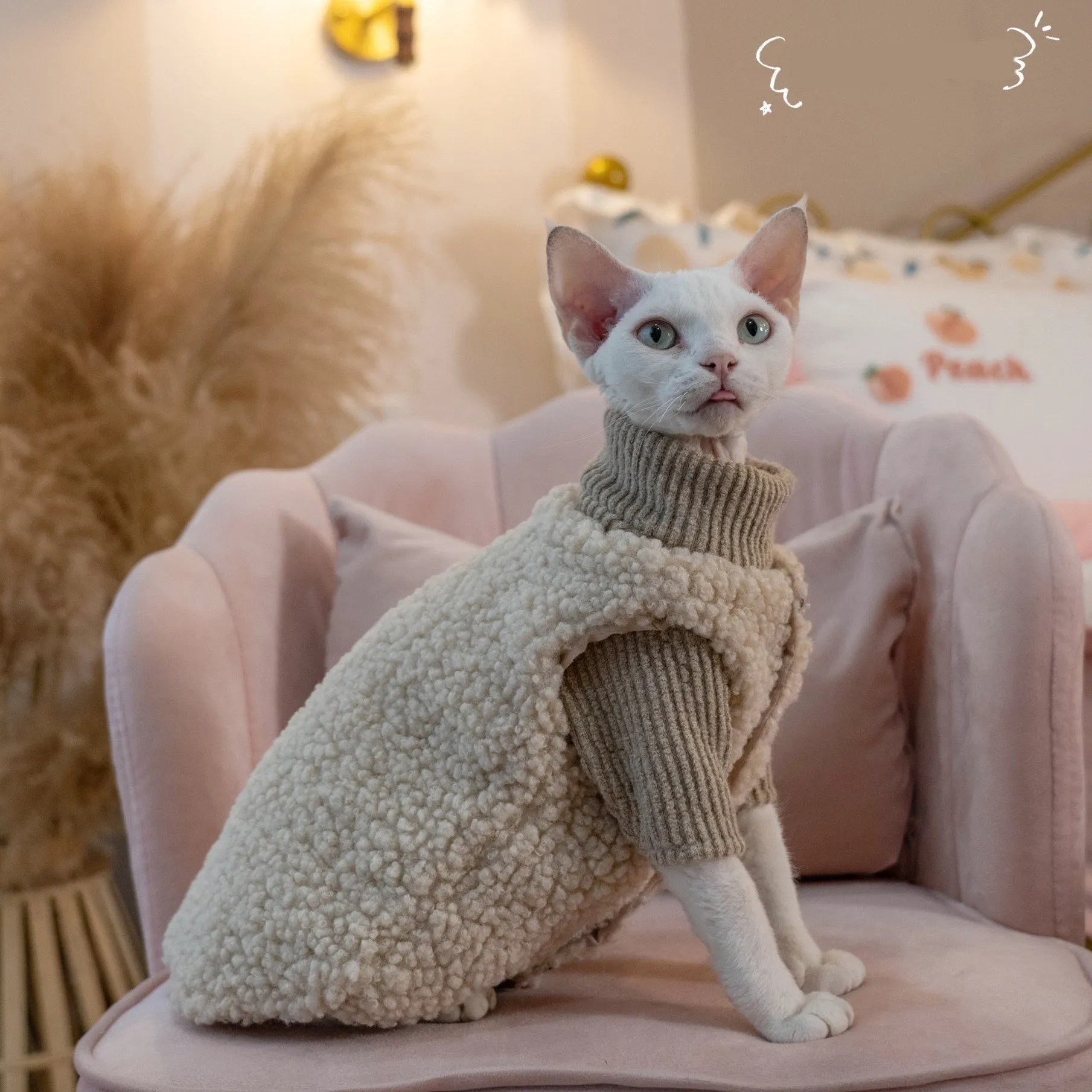 Plush lambswool buckle cat vest for small to large cats, brown sweater option on a cat