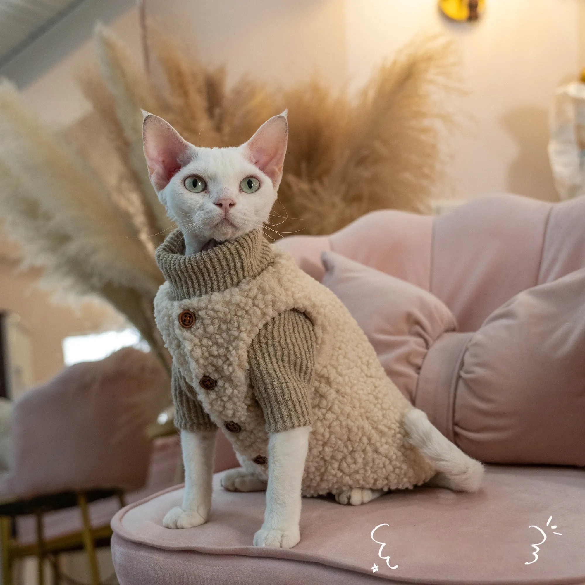Plush lambswool buckle cat vest for small to large cats, brown sweater option on a cat