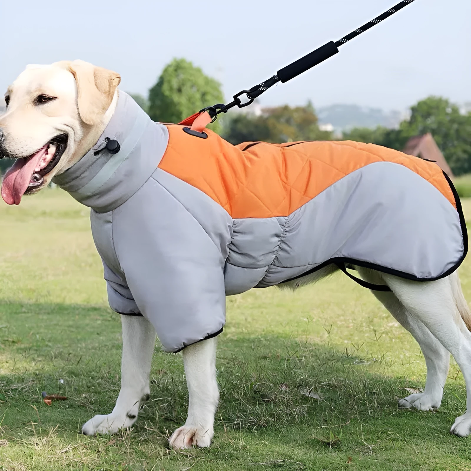 Winter dog coat waterproof with thicken padding for medium large dogs gray black colour