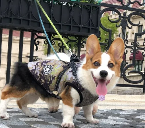 Small dog wearing a waterproof reflective coat with zipper and adjustable strap, available in multiple colours and nine sizes