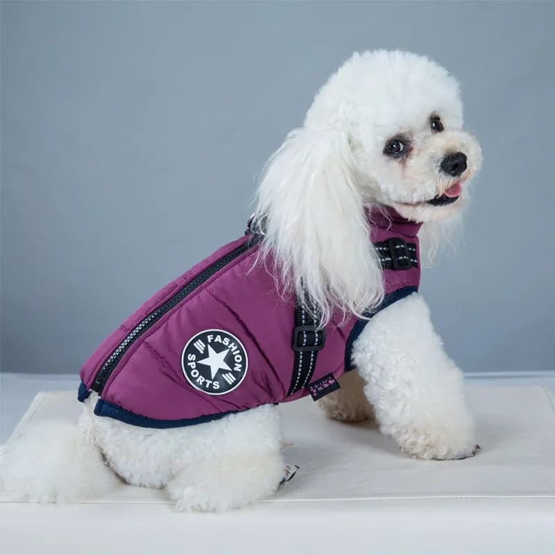 Small dog wearing a waterproof reflective coat with zipper and adjustable strap, available in multiple colours and nine sizes