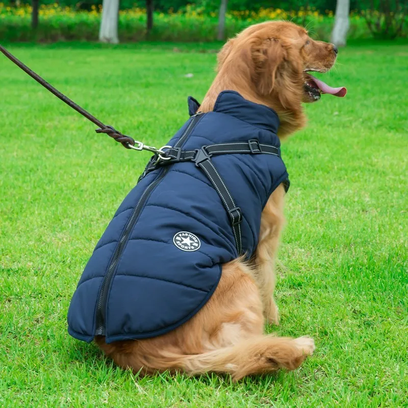 Small dog wearing a waterproof reflective coat with zipper and adjustable strap, available in multiple colours and nine sizes