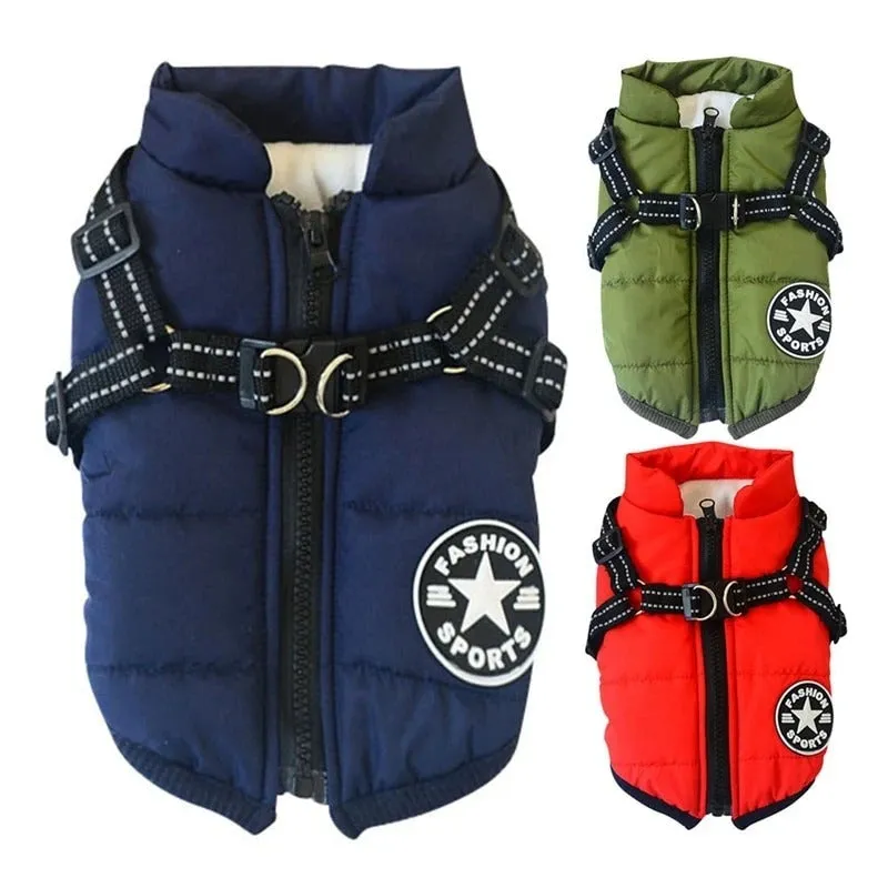 Small dog wearing a waterproof reflective coat with zipper and adjustable strap, available in multiple colours and nine sizes